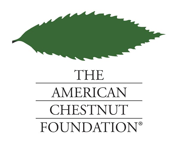 USDA APHIS seeks public comments on their evaluations of blight-tolerant American chestnut trees