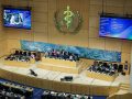 World Health Assembly: TB Strategy Development and Public Health Resolutions Highlighted